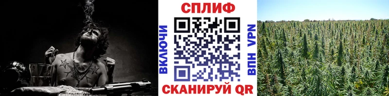 Купить закладки  Волжск  Каннабис OG Kush 